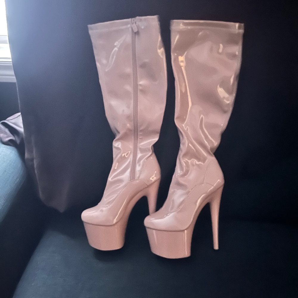 Pleaser heels size 6
